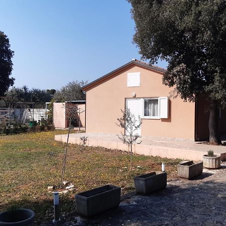 Lave II Cozy House Villa Ližnjan Екстериор снимка
